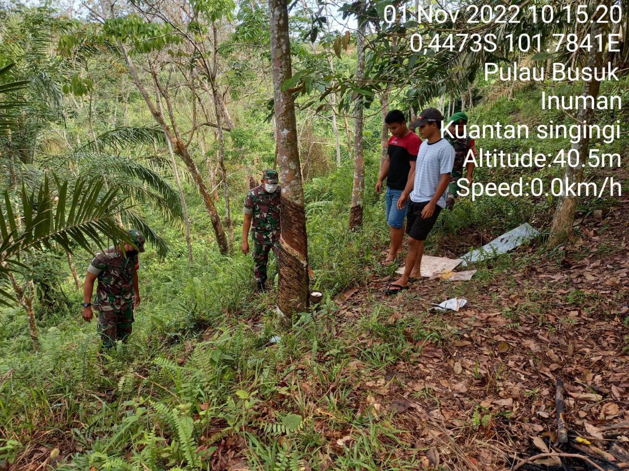 Babinsa Koramil 06/Cerenti Dim 0302/Inhu Lakukan Upaya Pencegahan Kebakaran Hutan Dan Lahan Dengan Rutin Lakukan Patroli Dan Sosialisasi