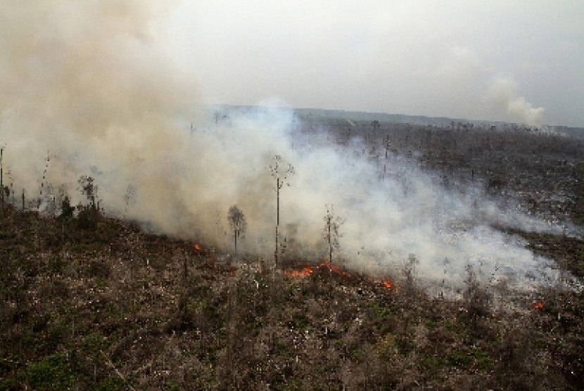 Masyarakat Inhu Diajak Waspadai Kebakaran Hutan dan Lahan di Musim Kemarau