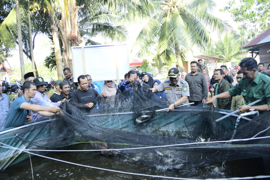 Wabup Bagus Santoso Hadiri Panen Perdana Kelompok Budidaya Ikan Desa Penebal