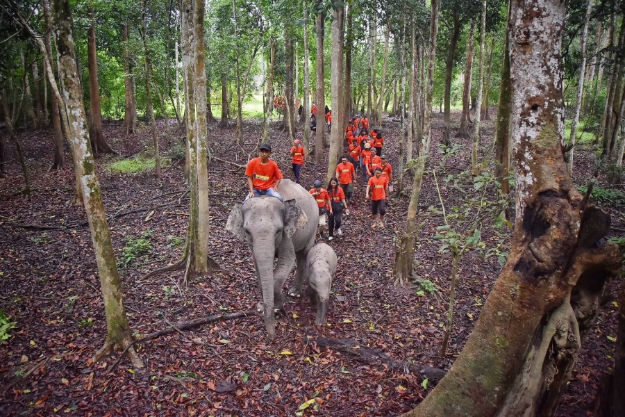 Ngatini & Dona Pimpin Jungle Track, BBKSDA Riau Ajak Masyarakat Cinta Gajah Sumatera