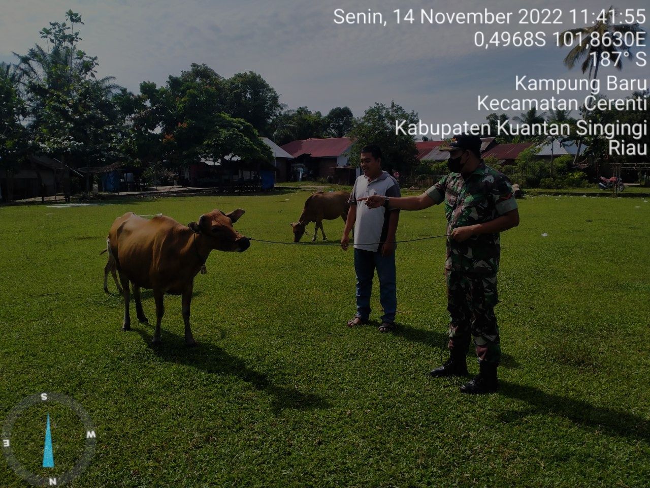 Di Desa Kampung Baru Babinsa Koramil 06/Cerenti Kodim 0302/Inhu Mengantisipasi Penularan Penyakit Mulut Dan Kaki (PMK) Sapi