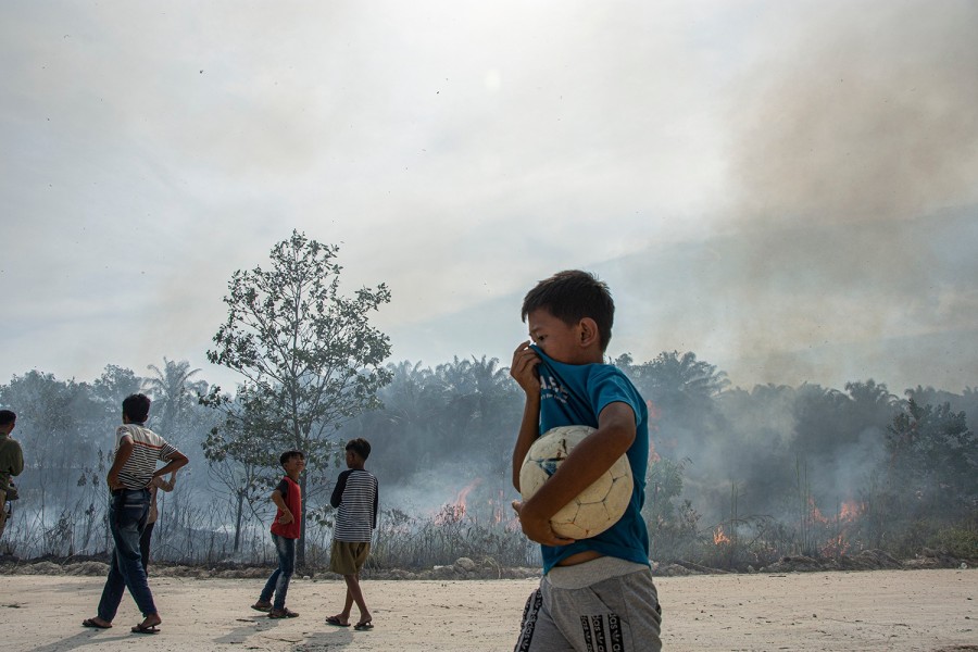 Status Tanggap Darurat Karhutla Riau Diperpanjang hingga 18 Agustus
