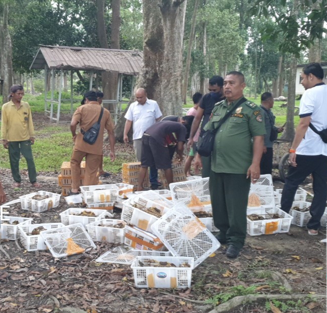 1.946 Burung Terbang Bebas Usai Selamat dari Upaya Penyelundupan 