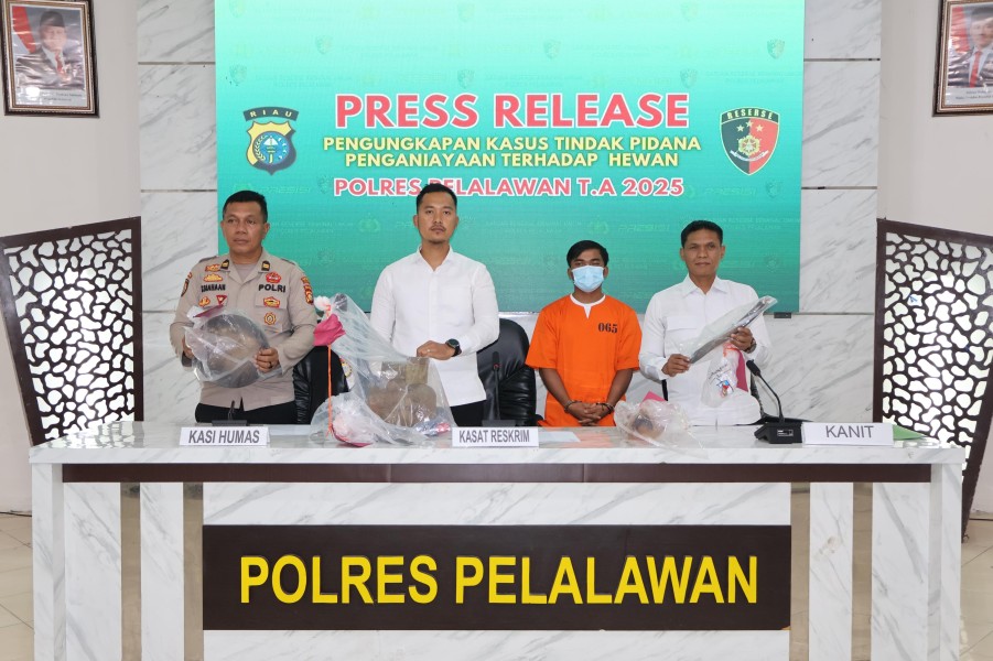 Perdagangan Daging Anjing Terbongkar di Pelalawan, Pelaku Diamankan Polisi