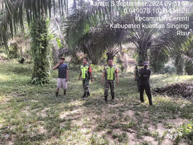 Personil Koramil 06/ Cerenti Kodim 0302/Inhu, Prak Fardan Sinaga Melaksanakan Patroli Dan Pencegahan Kebakaran Hutan Dan Lahan di  Kecamatan Cerenti Desa Kampung Baru 