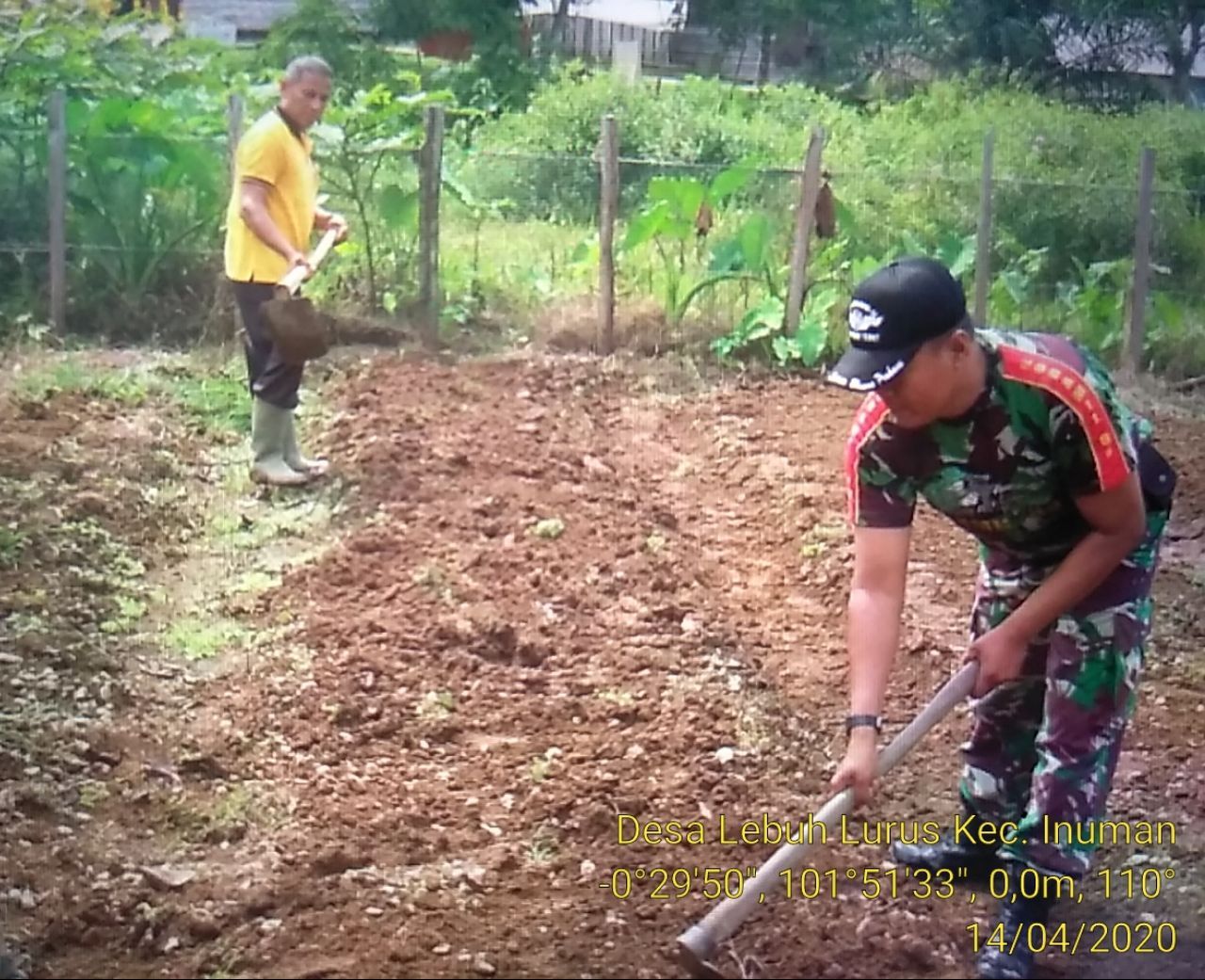 Babinsa Koramil 06/Cerenti Dim 0302/Inhu Sertu Heriyus Saputera Bantu Petani Siapkan  Lahan Tanaman Jagung.