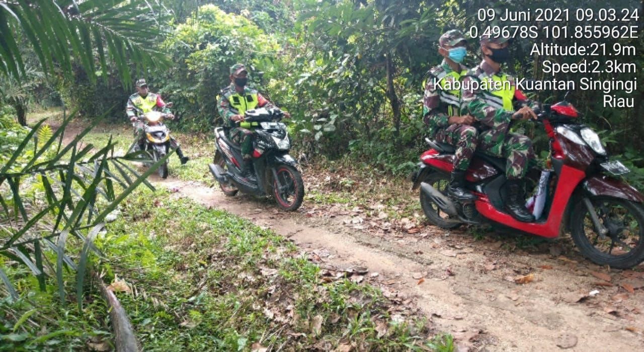 Upaya Babinsa Koramil 06/Cerenti Kodim 0302/Inhu Laksanakan Patroli Untuk Cegah Kebakaran Hutan Dan Lahan