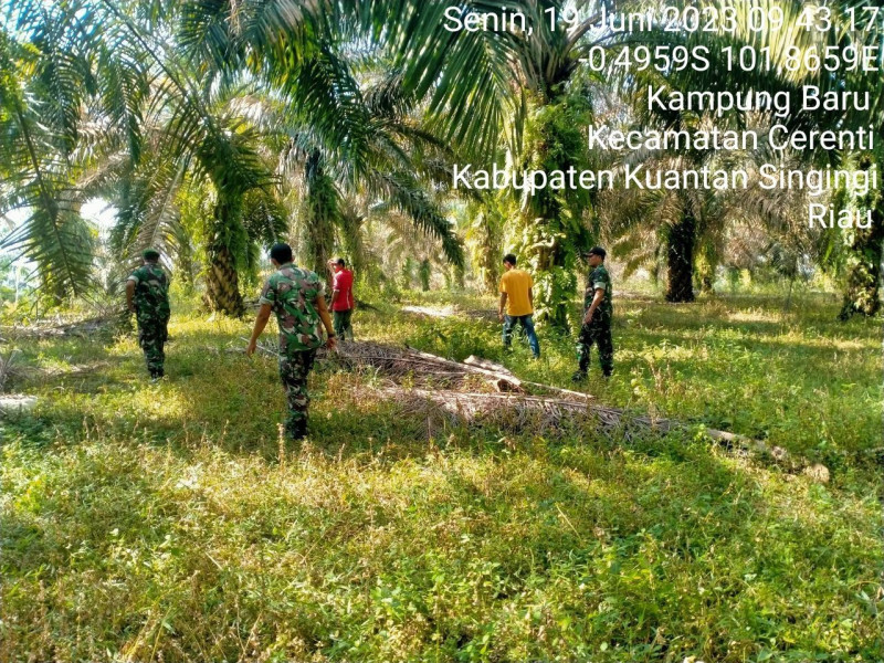 Kopda Mohamad Soleh dan Sertu Firman Babinsa Koramil 06/Cerenti Laksanakan Patroli Dan Sosialisasi Untuk Cegah Kebakaran Hutan Dan Lahan di Kecamatan Cerenti