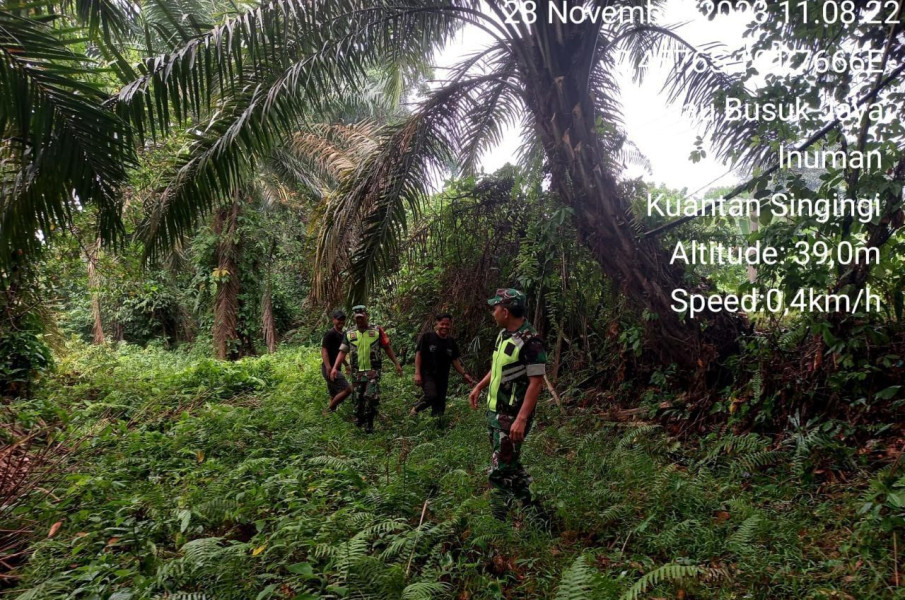 Untuk Mencegah Karhutlah,Babinsa Koramil 06/Cerenti Kodim 0302/Inhu Terus  Laksanakan Patroli Disepanjang Lahan Dan Perkebunan Warga Desa Pulau Busuk Jaya