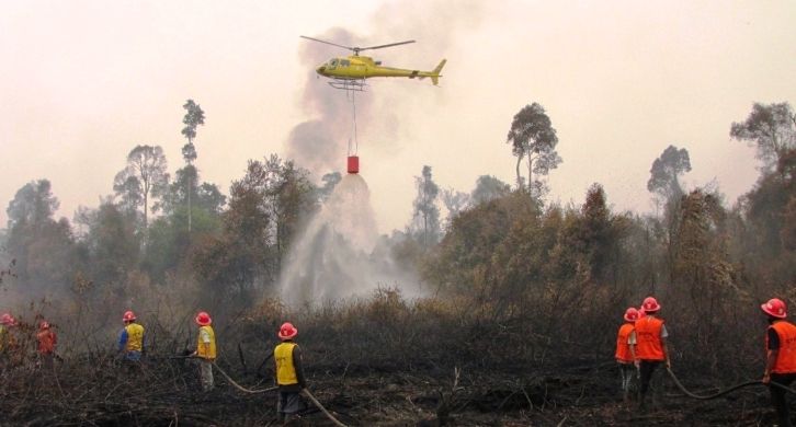 Alhamdulillah... 706 Hektar Lahan Terbakar di Riau Sudah Padam