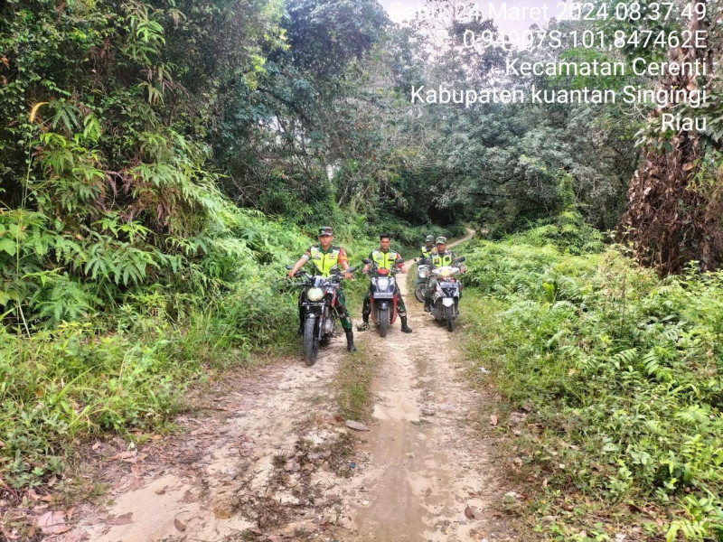 Di Kampung Baru Cerenti, Personil Koramil 06/ Cerenti Kodim 0302/Inhu Melaksanakan Patroli Dan Sosialisasi Pencegahan Kebakaran Hutan Dan Lahan