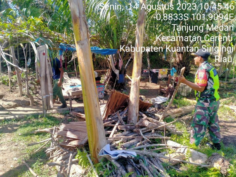Bangun Keakraban Babinsa KORAMIL 06/Cerenti Kodim 0302/Inhu Bantu Warga Mengambil Kayu Bakar Di Desa Tanjung Medan Cerenti