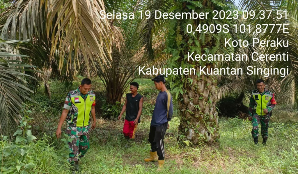 Setiap Hari Secara Rutin Babinsa Koramil 06/Cerenti Kodim 0302/Inhu Laksanakan Antisipasi Pencegahan Kebakaran Hutan Dan Lahan Dengan Laksanakan Patroli