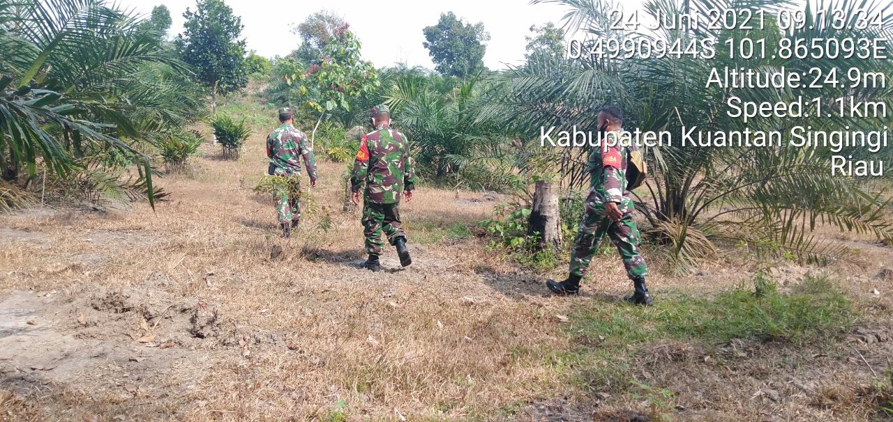 Babinsa Koramil 06/Cerenti Dim 0302/Inhu Gencarkan Sosialisasi Dan Patroli Karlahut Didesa Binaan