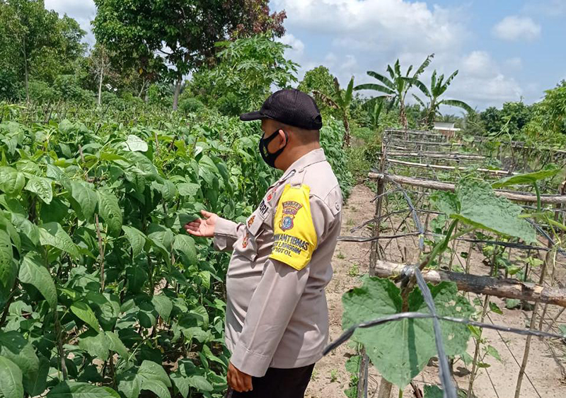 Personel Polsek Langgam Pantau Program Kampung Tangguh di Desa Segati