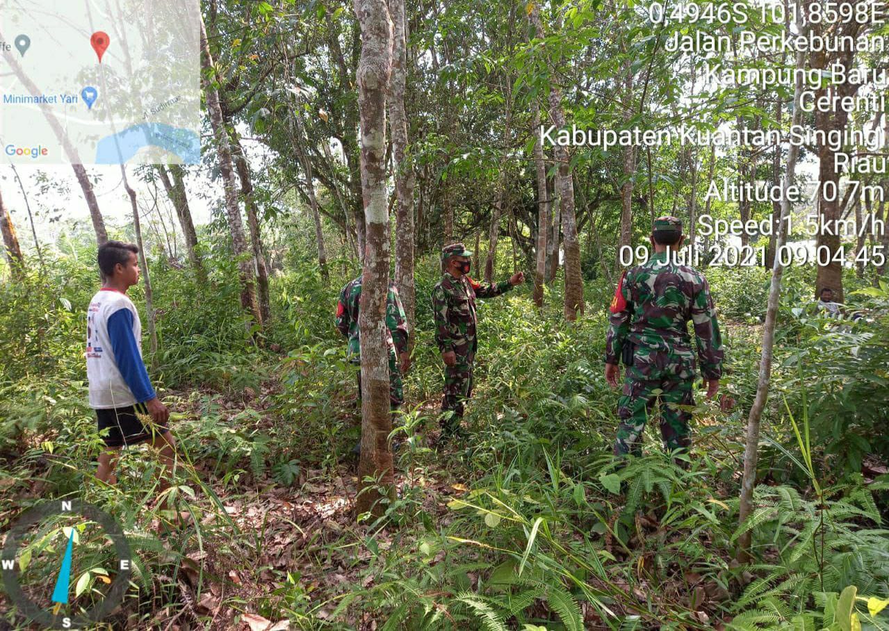 Serda Ridwan Effendi Babinsa Koramil 06/Cerenti Kodim 0302/Inhu Laksanakan Patroli Untuk Cegah Kebakaran Hutan Dan Lahan