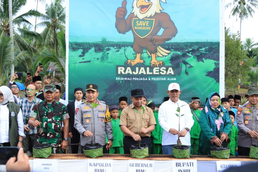 Belaras Barat Jadi Sorotan Nasional pada Peringatan Hari Mangrove Sedunia 2025