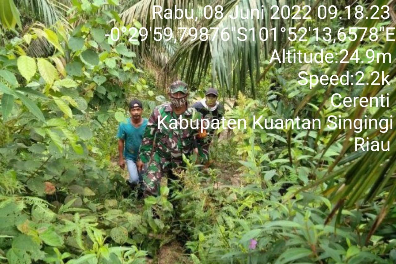 Tingkatkan Pengawasan Karlahut, Babinsa Koramil 06/ Cerenti Dim 0302/ Inhu Laksanakan Patroli Karhutla Bersama Masyarakat Peduli Api (Mapi) Desa Kampung Baru Timur