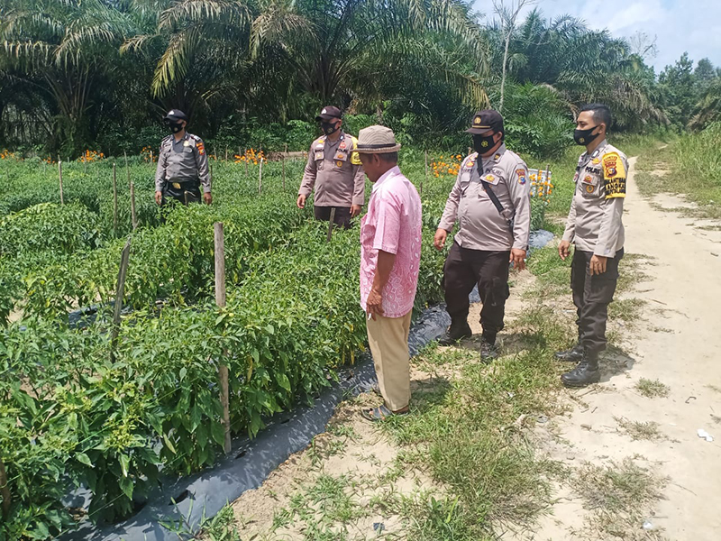 Dukung Program 100 Hari Kerja Kapolri, Polsek Bunut Kontrol Program Kampung Tangguh