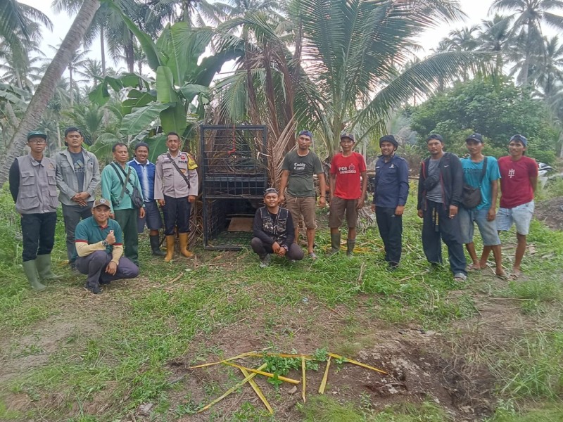 Antisipasi Konflik Manusia dan Harimau, BBKSDA Riau Lakukan Mitigasi di Griya Mukti Jaya