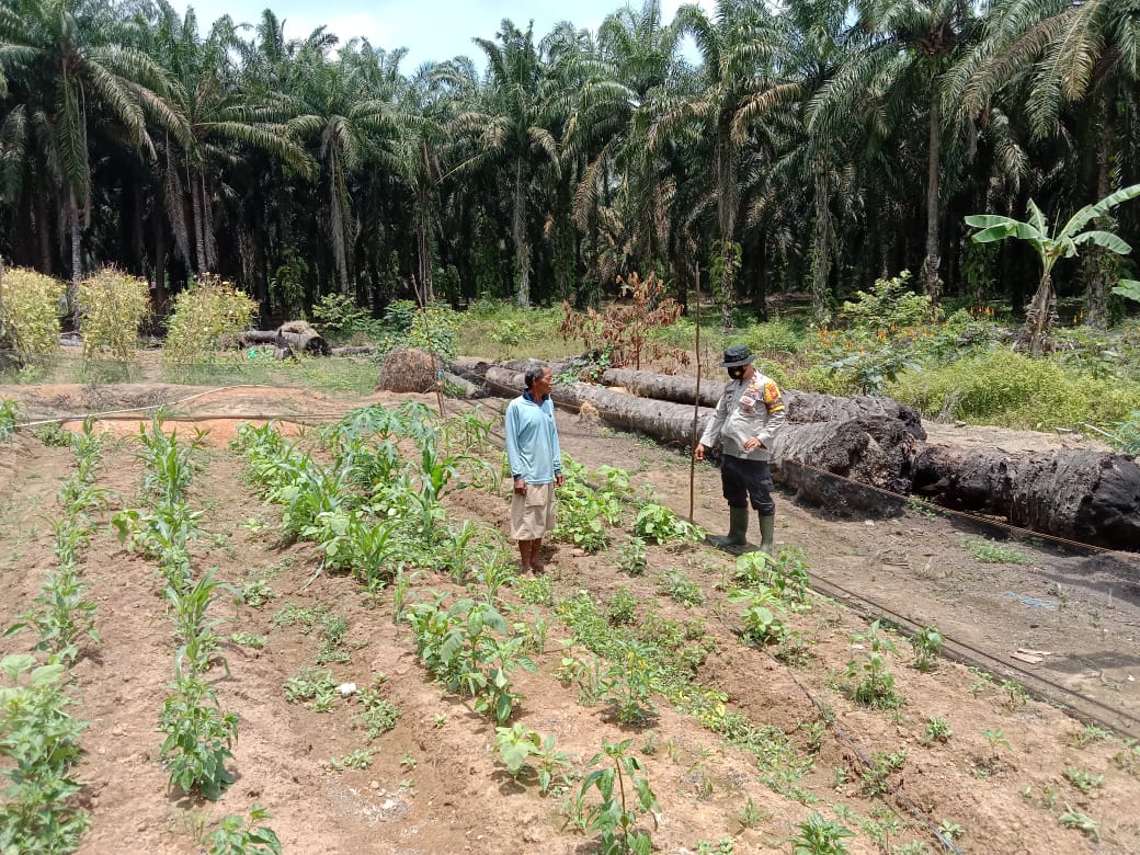 Polsek Pangkalan Lesung Kembali Tingkatkan Giat Kampung Tangguh