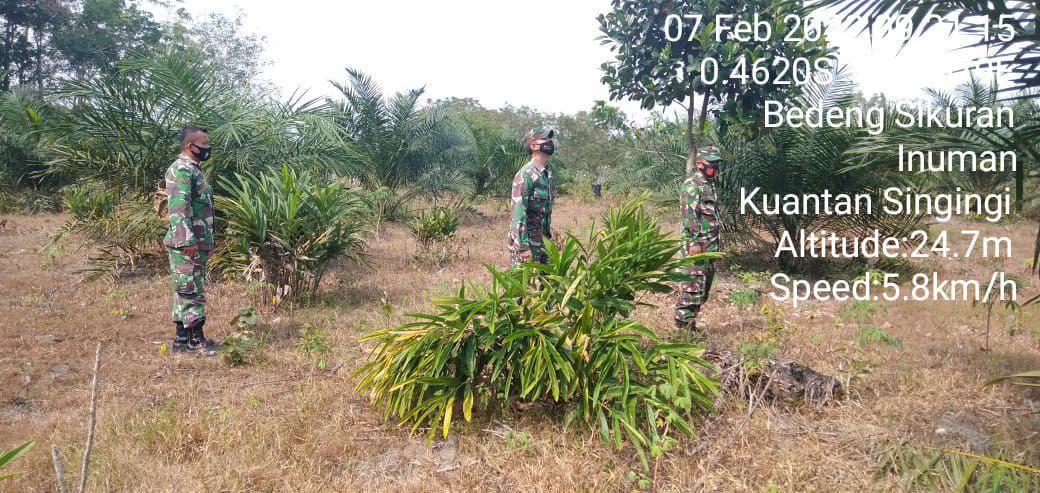 Babinsa Koramil 06/Cerenti Kodim 0302/Inhu ,Serka M. Amin Bersama Anggota Lainnya Secara Rutin Patroli Karlahut di Wilayah Binaannya