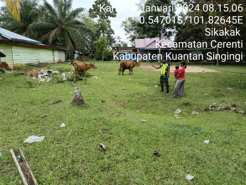 Anggota Babinsa Koramil 06/Cerenti Kodim 0302/Inhu Selalu Aktif Mengantisipasi Penularan Penyakit Mulut Dan Kaki (PMK) Kecamatan Cerenti Kabupaten Kuantan Singingi