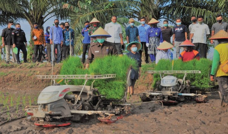 Wali Kota Pekanbaru Saksikan Kontrak Farming Antara PT SPM Bersama UPJA Bina Karya