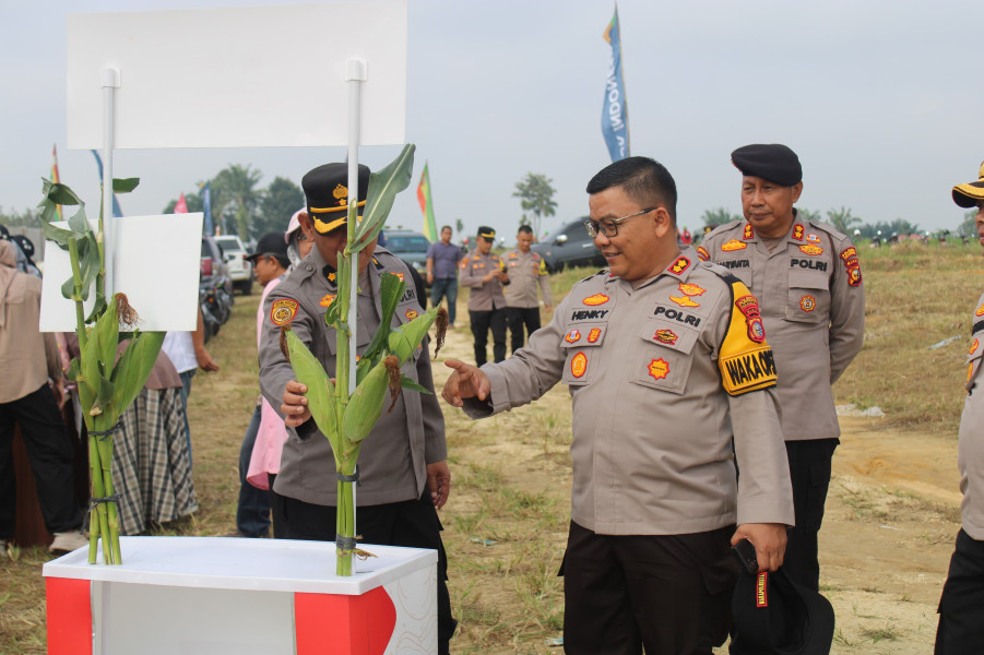 Aksi Nyata Ketahanan Pangan, Polresta Pekanbaru Gandeng Kelompok Tani Tanam Jagung