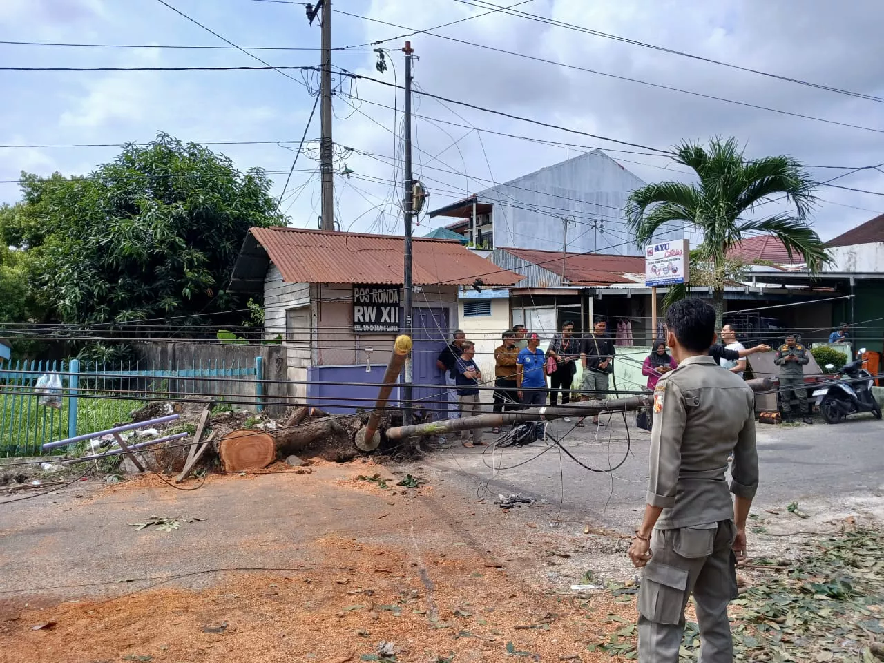 Pemko Pekanbaru Evakuasi 2 Tiang Kabel FO Tumbang, Ganggu Aktivitas Masyarakat
