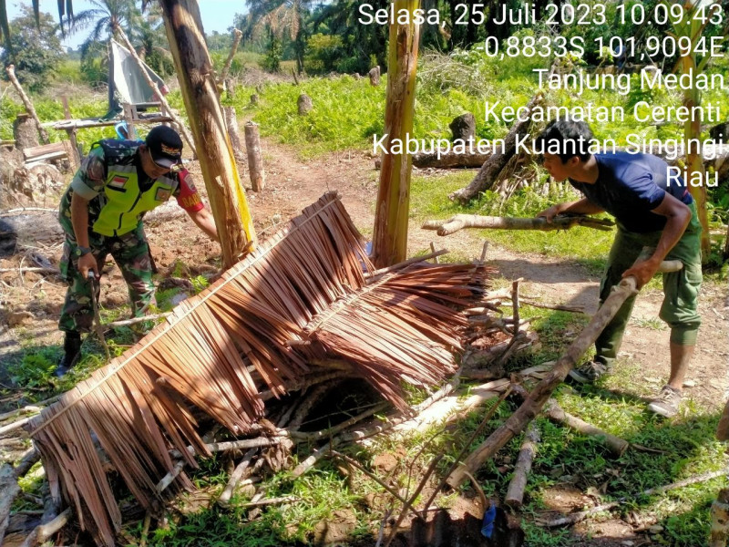 Bangun Keakraban Babinsa Koramil 06/Cerenti Kodim 0302/Inhu Bantu Warga Mengambil Kayu Bakar Di Desa Tanjung Medan
