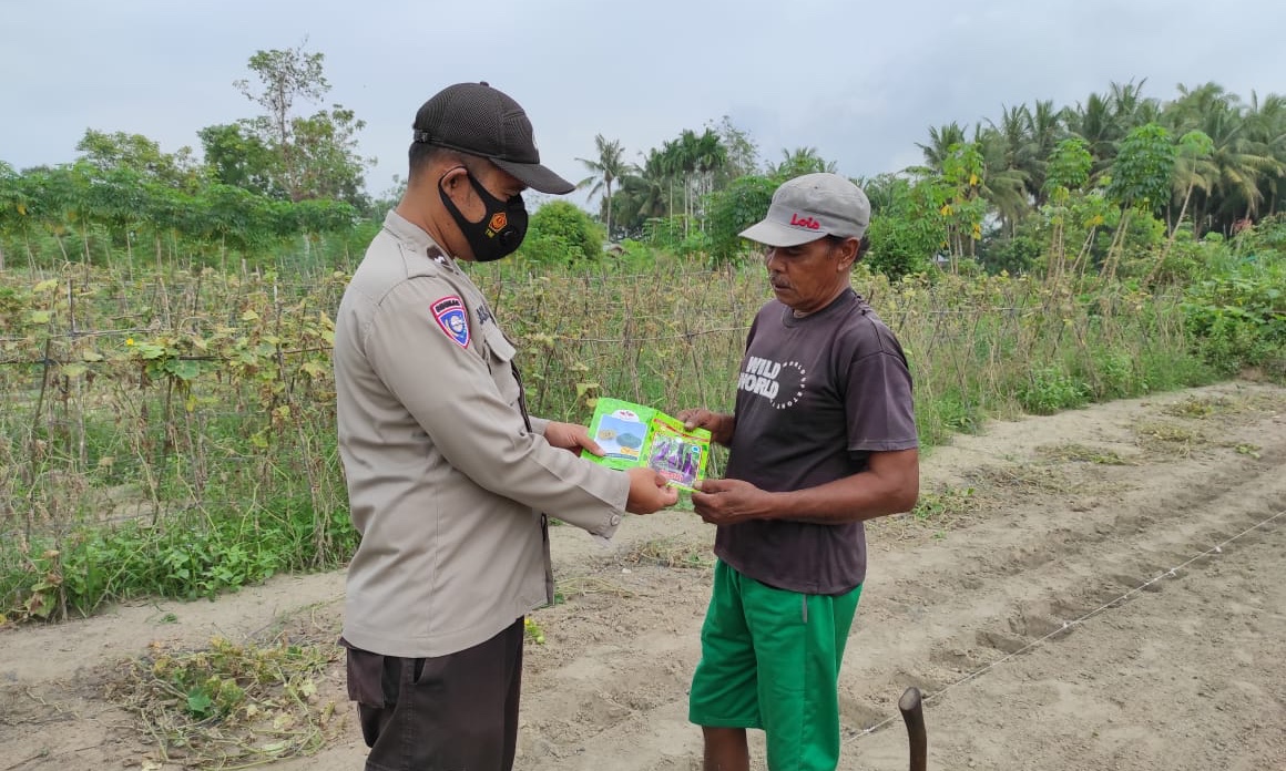 Dukung 100 Hari Program Kapolri, Polsek Langgam Kontrol Program Ketahanan Pangan