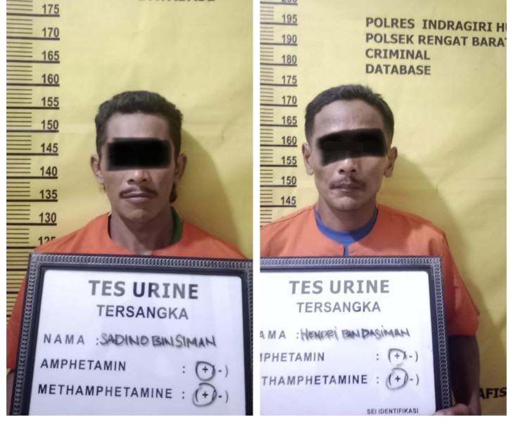 Positif Narkoba, Dua Pencuri Sawit di Inhu Diringkus Polisi