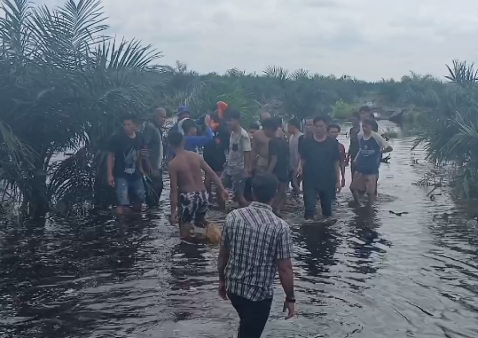Balita 3 Tahun Ditemukan Meninggal Dunia di Kanal Perkebunan Pelalawan 