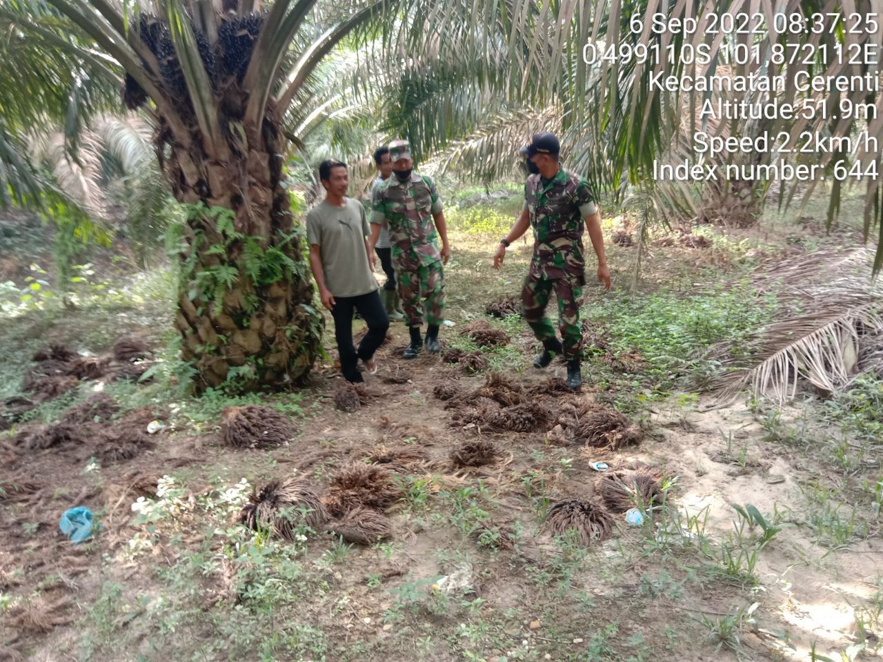 Babinsa Koramil 06/Cerenti Kodim 0302/Inhu,Serda SP Nasution Bersama Anggota Lainnya Laksanakan Patroli Untuk Cegah Kebakaran Hutan Dan Lahan di Pulau Panjang Cerenti Kecamatan Cerenti Kabupaten Kuansing