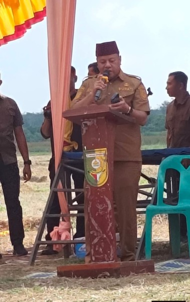 Bupati Kuansing Suhardiman Amby Hadiri Acara Doa Turun Ke Ladang Desa Padang Kunik