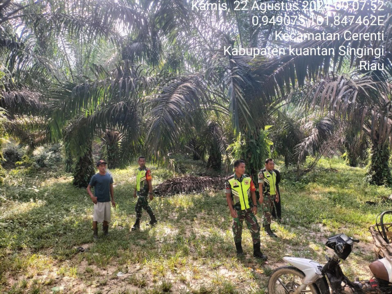 Praka Fardan Sinaga Personil Koramil 06/ Cerenti Kodim 0302/Inhu Melaksanakan Patroli Pencegahan Kebakaran Hutan Dan Lahan