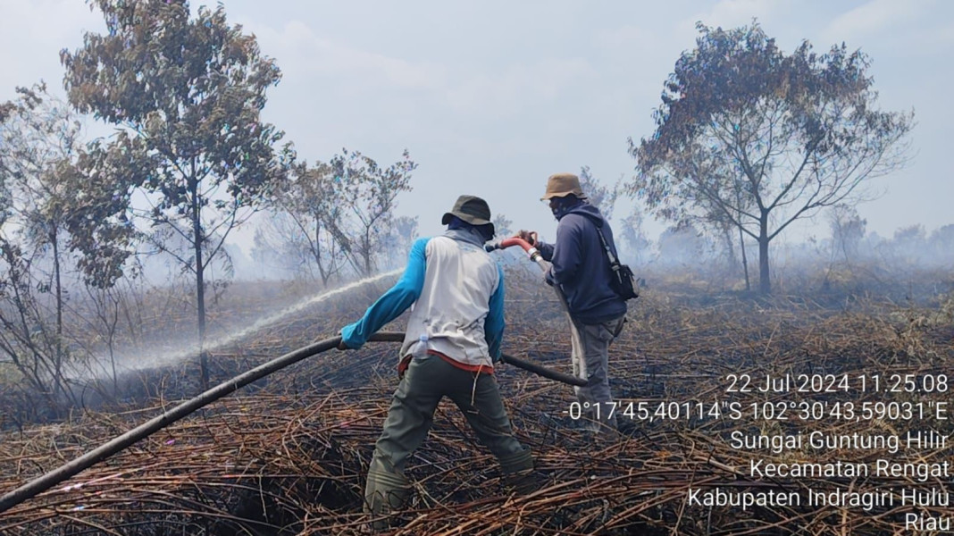 Karhutla Landa Desa Sungai Guntung Hilir, Petugas SKW I BBKSDA Riau Gerak Cepat Padamkan Api