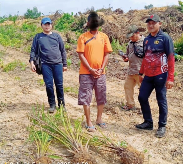 Diduga Garap Kawasan Hutan Secara Ilegal, Pria di Inhu Ditangkap Polisi