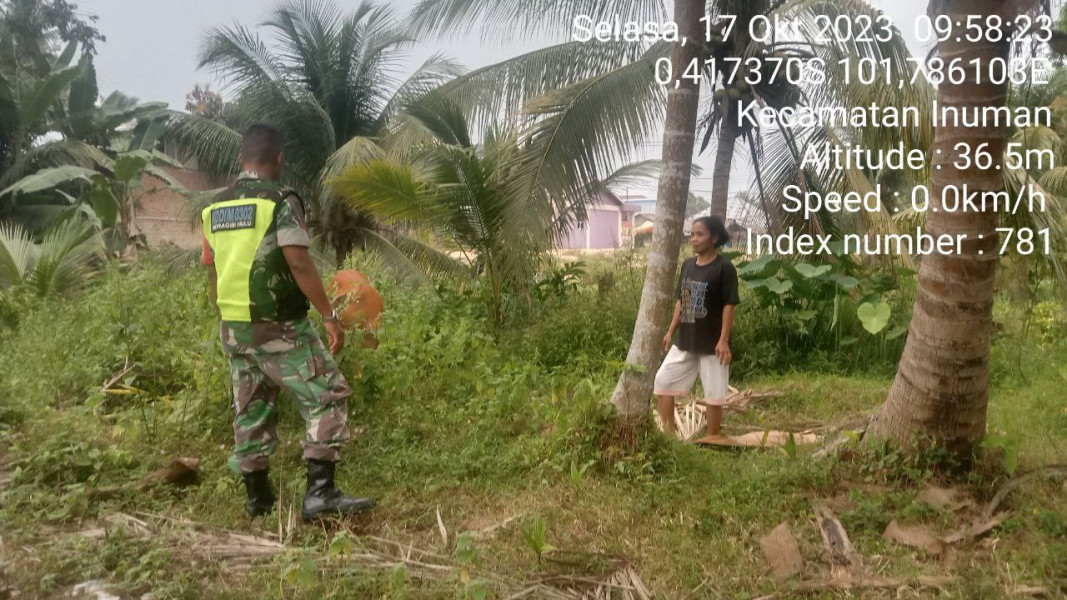 Antisipasi Penularan Penyakit Mulut Dan Kaki (PMK),Kopda Junedi Babinsa Koramil 06/Cerenti Kodim 0302/Inhu Tinjau Sapi Di Desa Binaan