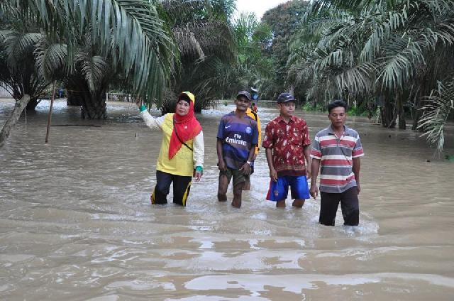 Rumah dan Fasilitas Umum di Inhu Terendam Banjir