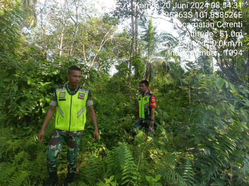 Babinsa Koramil 06/Cerenti Kodim 0302/Inhu Patroli Bahaya Karhutla Desa Teluk Pauh Kecamatan Cerenti 