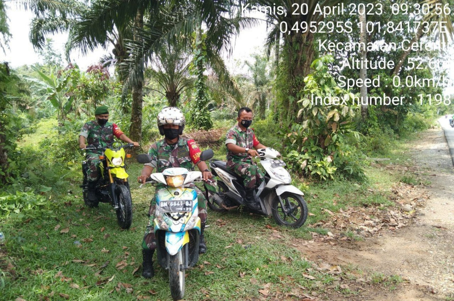 Babinsa Koramil 06/Cerenti Kodim 0302/Inhu Cegah Kebakaran Hutan Dan Lahan Kontinyu Laksanakan Patroli Kebakaran Hutan Dan Lahan
