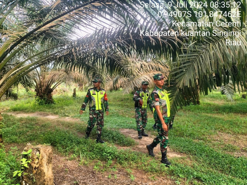 Pratu Dandy Zulfahmi Personil Koramil 06/ Cerenti Kodim 0302/Inhu Melaksanakan Patroli Dan Pencegahan Kebakaran Hutan Dan Lahan