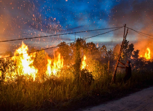 3 Minggu Terakhir, 5 Hektare Lahan di Pekanbaru Hangus Terbakar