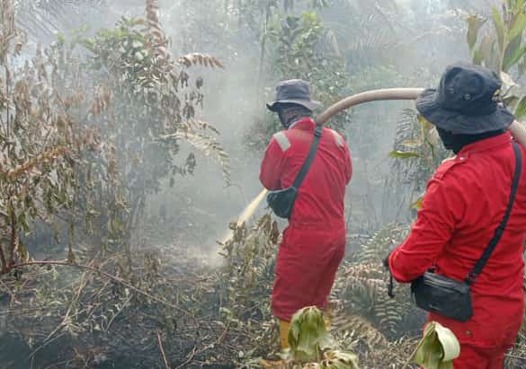 Ancaman Karhutla di Riau: Kebakaran Lahan Gambut di Dumai Masih Berlangsung