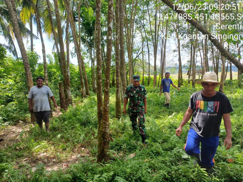 Babinsa Koramil 06/Cerenti Laksanakan Patroli Sosialisasi Karlahut Kepada Masyarakat
