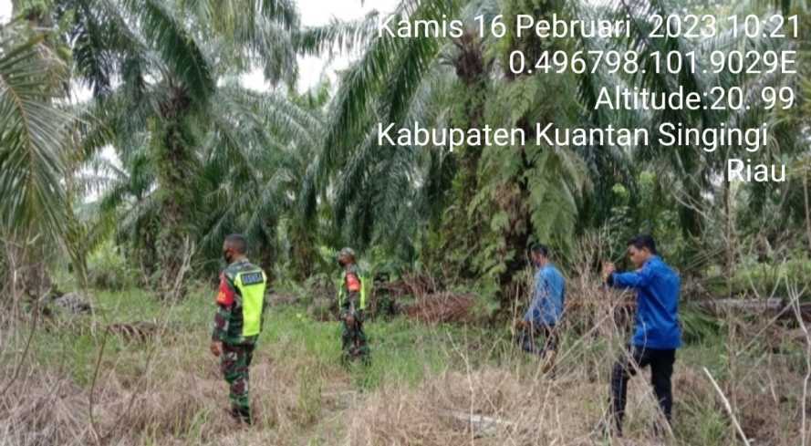 Di Desa Banjar Nantigo Kecamatan Inuman, Babinsa Koramil 06/Cerenti Kodim 0302/Inhu Laksanakan Patroli Untuk Cegah Kebakaran Hutan Dan Lahan